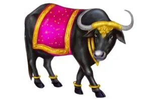 Buffalo Icon